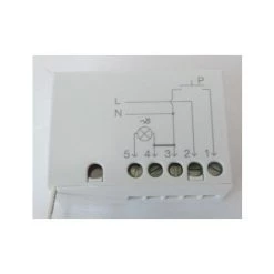 Logique De Commande Pour Lampe 230V 250W Récepteur Radio Intégré Fonction Marche / Arrêt Et Variateur NICE TTDMS